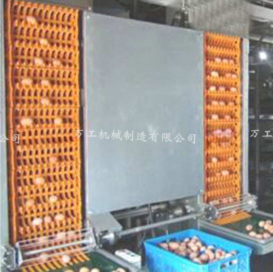 雞鴨蛋蛋類(lèi)清洗生產(chǎn)線(xiàn)